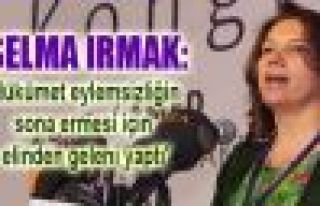 Irmak: 'Hükümet eylemsizliğin sona ermesi için...