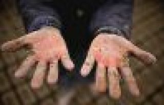 İş Güvenliği Meclisi: 2014’te 39 çocuk işçi...