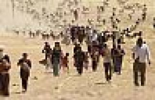 IŞİD 50 Ezidi kadını infaz etti