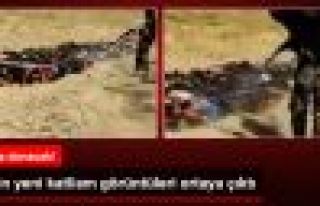 IŞİD Irak Askererini Kamyonlara Yükleyip İnfaz...