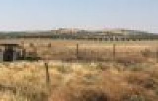 IŞİD, Karkamış karşısında askerin önünde...