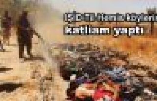 IŞİD Til Hemis köylerinde katliam yaptı