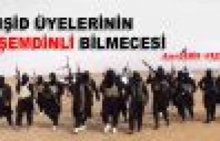 IŞİD Üyelerinin Şemdinli Bilmecesi