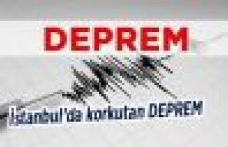 İstanbul Şile'de 4 büyüklüğünde deprem
