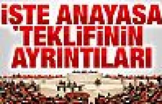 İşte 21 maddelik Başkanlık Anayasası teklifinin...