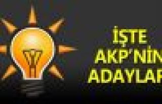 İşte AKP'nin adayları