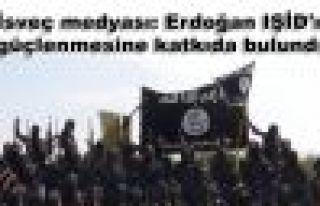 İsveç medyası: Erdoğan IŞİD'ın güçlenmesine...