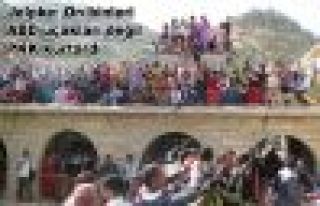 Jelpke: On binleri ABD uçakları değil PKK kurtardı