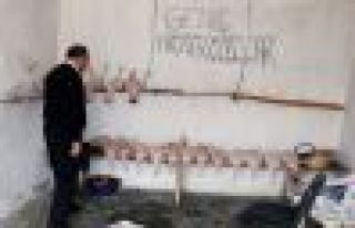 Kaçak tavuk kesimi yapanlara operasyon