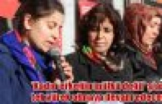 Kadınlar Şemdinli'de Özgecan için yürüdü