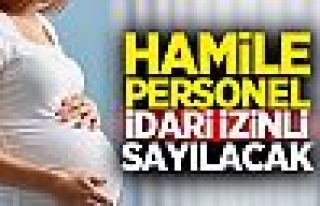 Kamuda hamile personel idari izinli sayılacak