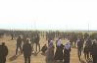 Kaniya Kurda Tepesi YPG kontrolünde, halk Kobani...