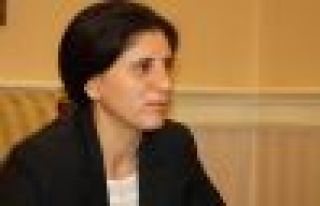 'Kantonlar halkların iradesini esas alıyor'