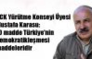 Karasu:10 madde Türkiye'nin demokratikleşmesi maddeleridir