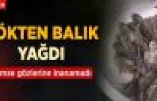 Kasabaya Gökten Balık Yağdı