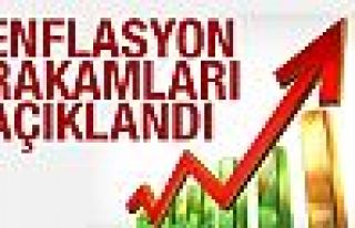 Kasım ayı enflasyon oranları açıklandı
