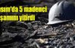 Kasım'da 5 madenci yaşamını yitirdi