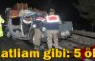 Katliam gibi kaza: 5 ölü