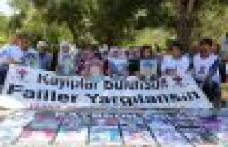 Kayıp yakınları Vedat Aydın'ı andı