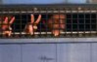 KCK davalarında emsal oluşturabilecek başvuru