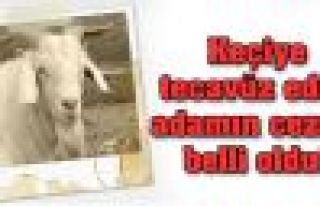 Keçiye tecavüz eden adama hapis