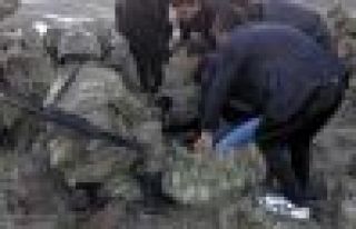 KESK: Ağrı'da yaşananlar provokasyondur