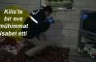 Kilis'te bir eve mühimmat isabet etti