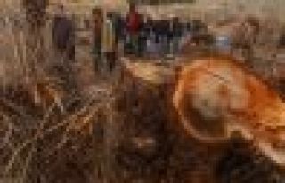 Kimden gelirse gelsin talana karşı duracağız