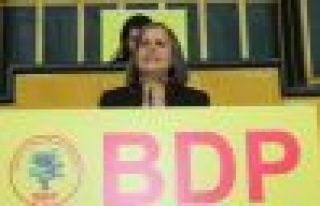 Kışanak: AKP siyasi töre uyguluyor