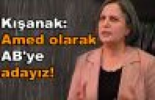 Kışanak: Amed olarak AB'ye adayız