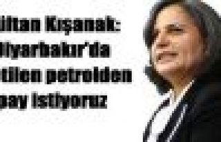 Kışanak: Amed'de üretilen petrolden pay istiyoruz