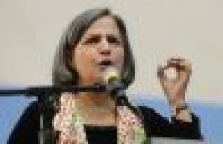 Kışanak: Belediye başkan adaylığım söz konusu...