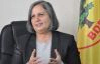 Kışanak: 'HDP ve BDP halkın geleceğidir'