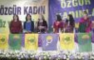 Kışanak: Kadınların eşit temsili devrim niteliğinde