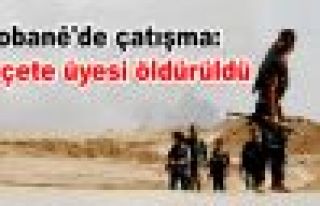 Kobane'de çatışma: 8 çete üyesi öldürüldü