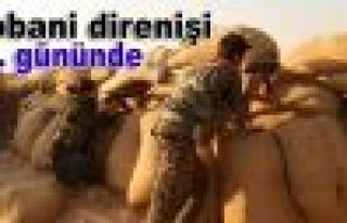 Kobani direnişi 75. gününde