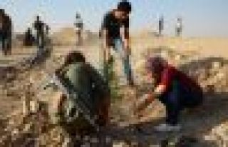 Kobani'de Suruç Şehitleri Ormanı oluşturuldu