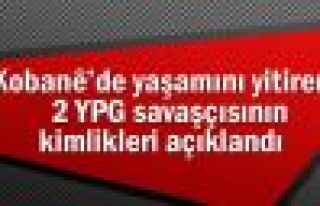 Kobani'de yaşamını yitiren 2 YPG'linin kimliği...