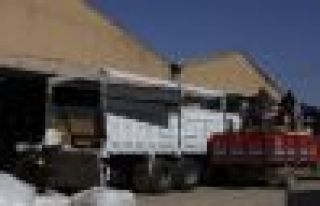 Kobanililer için acil yardım çağrısı