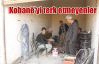 Kobani'yi terk etmeyenler