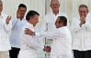 Kamagra içeriği nedir?