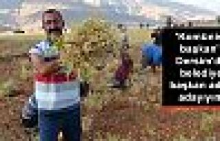 'Komünist başkan': Dersim'de belediye başkan aday...