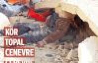 Kör topal Cenevre