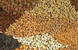 Korona döneminde tohum fiyatlarına yüzde 20 zam