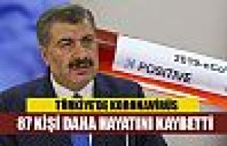 Türkiye'de koronavirüsten ölenlerin sayısı 87...