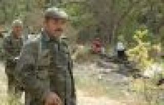 Korucu sayısı 50 bine yaklaştı