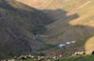 Korucular Yedi Kardeşler köyünün suyuna göz dikti