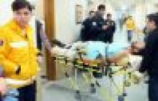 Koyun yüzünden 2 aile birbirine girdi: 1 ölü,...