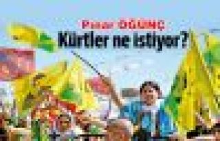 Kürtler Demokratik Özerklikle ne istiyor: 'Devletin...