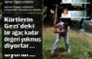 Kürtlerin Gezi'deki bir ağaç kadar değeri yokmuş...